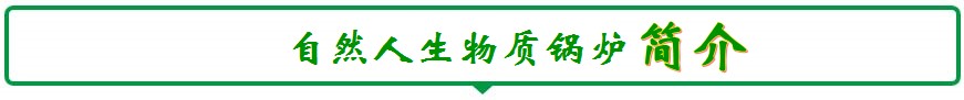 自然人生物质锅炉厂家简介